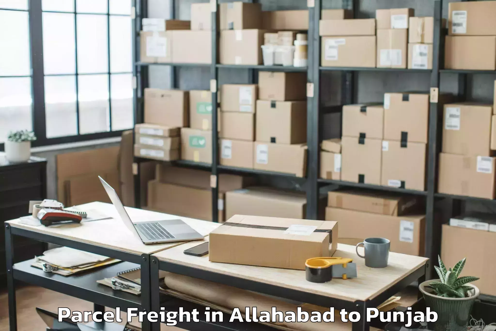 Affordable Allahabad to Shahkot Parcel Freight